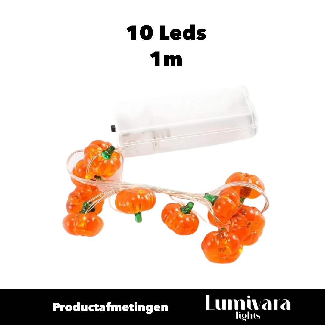 COPPERGLOW | Lichtsnoer met pompoenen